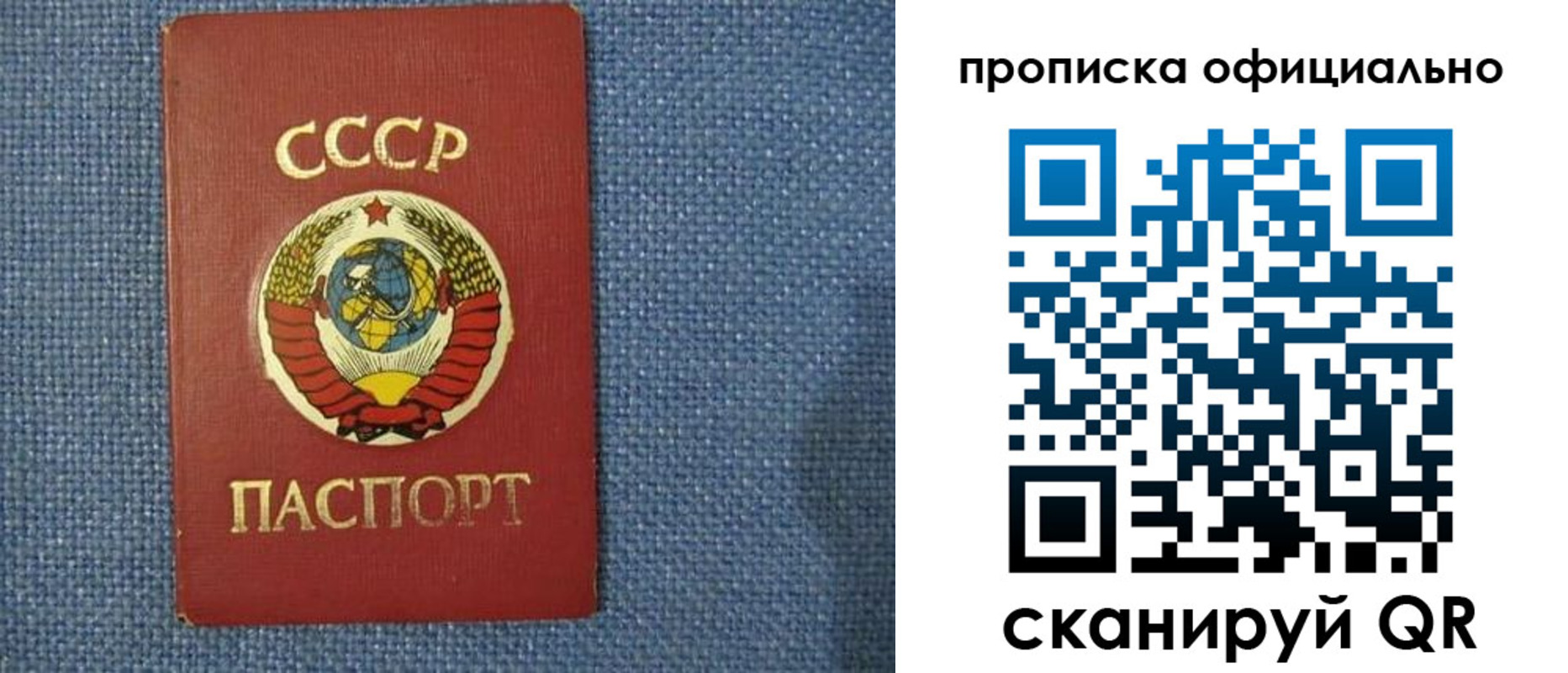 прописка для школы в Краснодаре